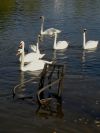 Všechny soutěžní snímky 5. ročníku fotosoutěže Můj svět - Kategorie Životní prostředí a recyklace