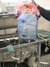 Všechny soutěžní snímky 5. ročníku fotosoutěže Můj svět - Kategorie Životní prostředí a recyklace