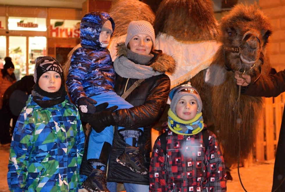 klikni pro velký obrázek