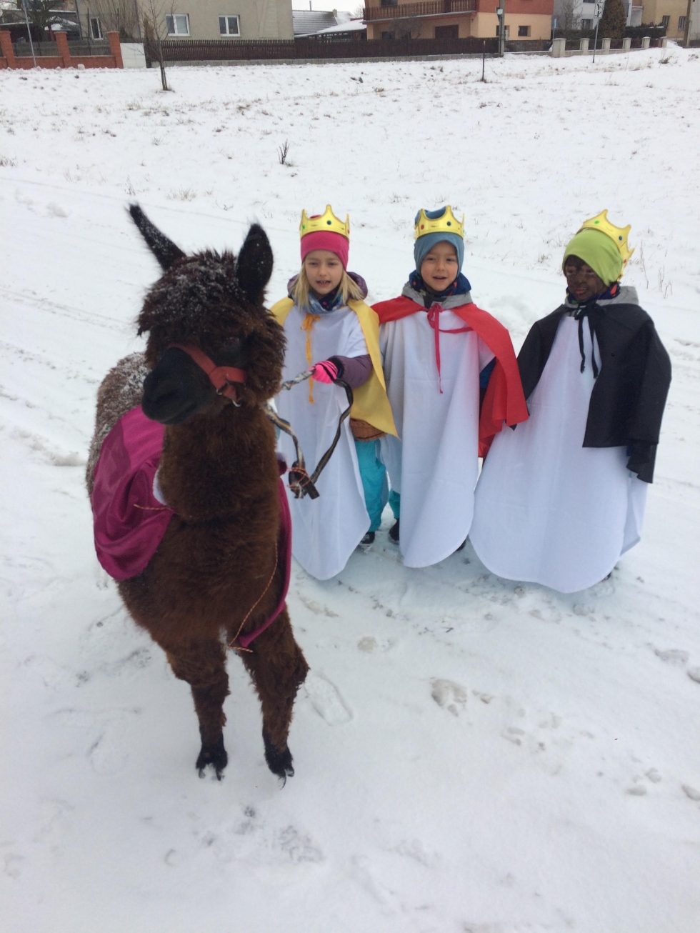 klikni pro velký obrázek