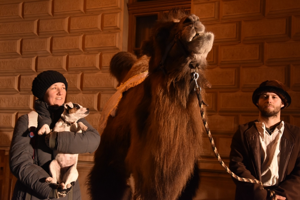 klikni pro velký obrázek