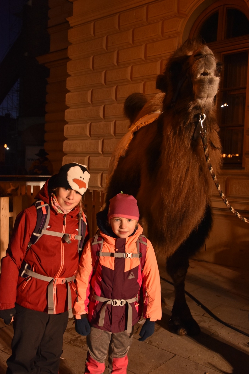 klikni pro velký obrázek