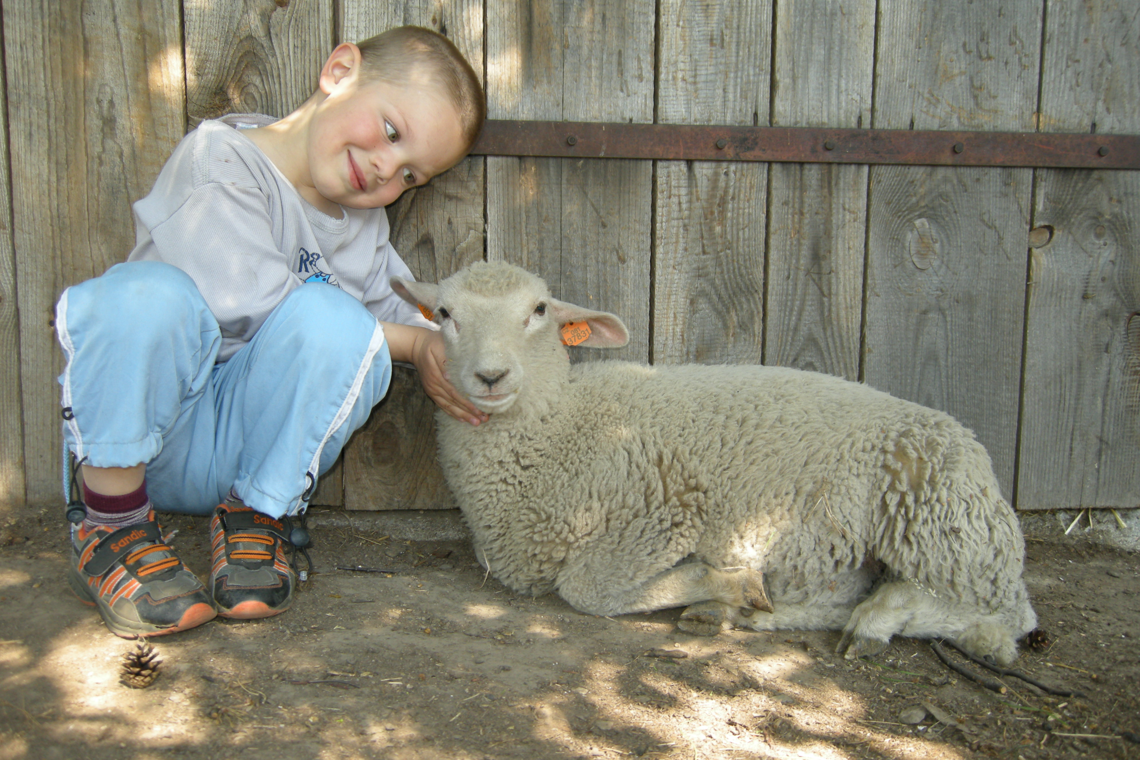 klikni pro velký obrázek