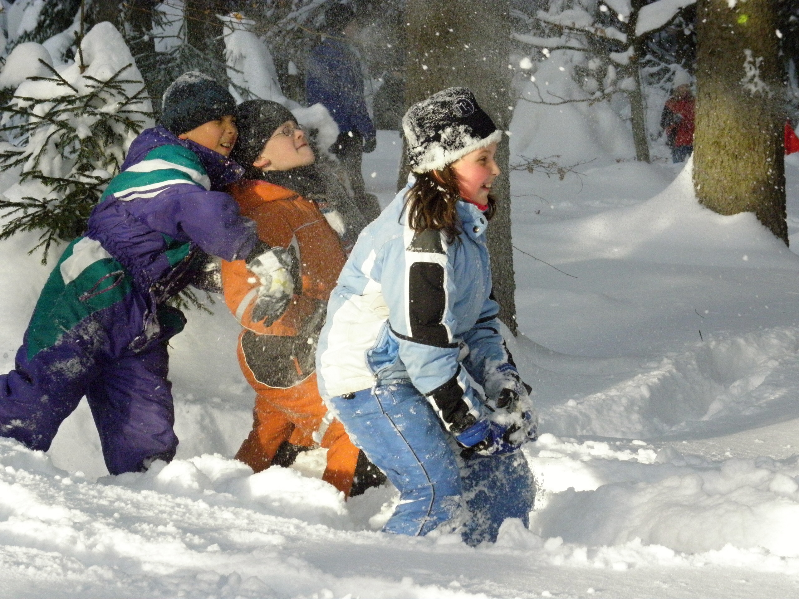 klikni pro velký obrázek