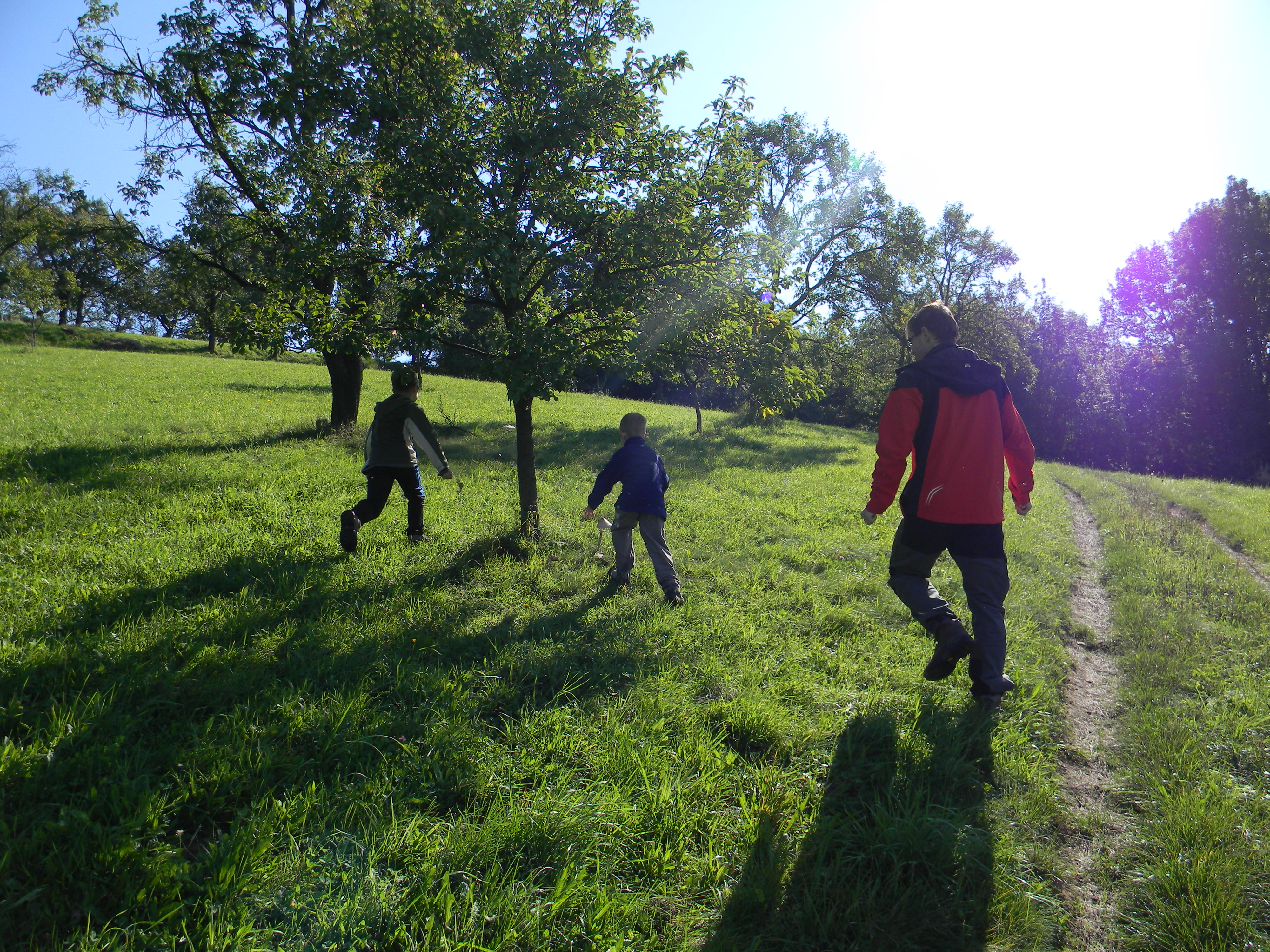 klikni pro velký obrázek