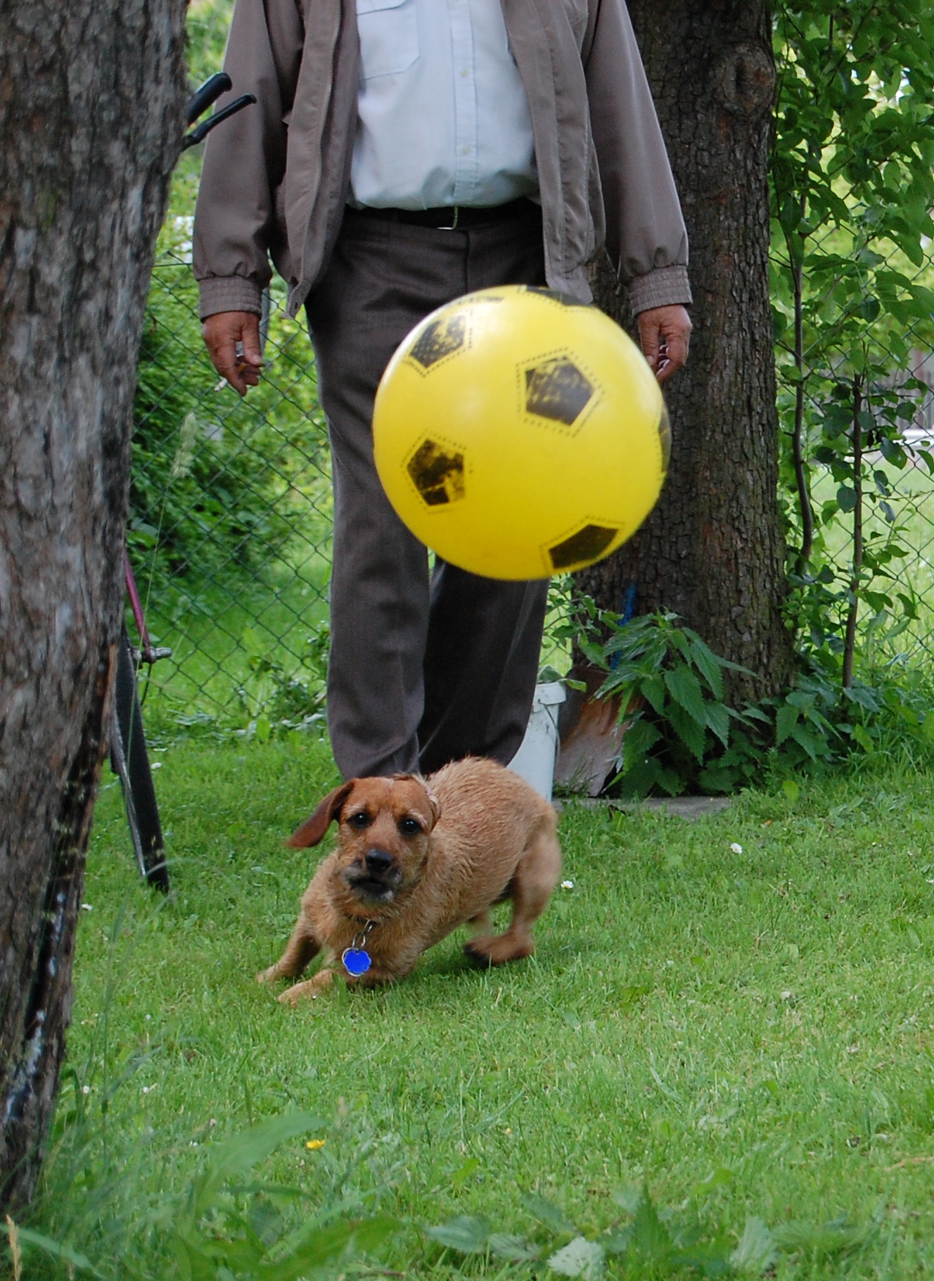 klikni pro velký obrázek