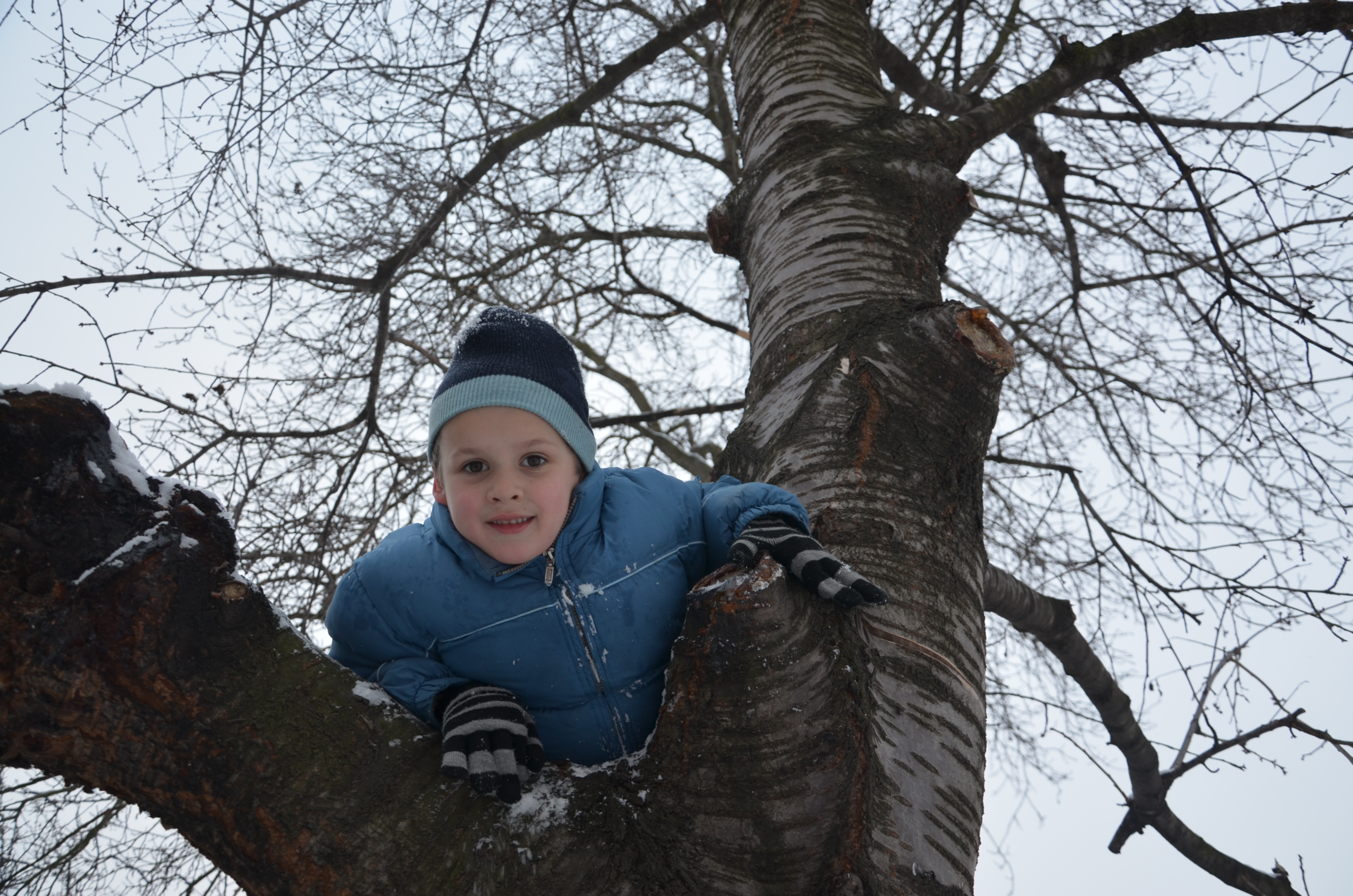 klikni pro velký obrázek