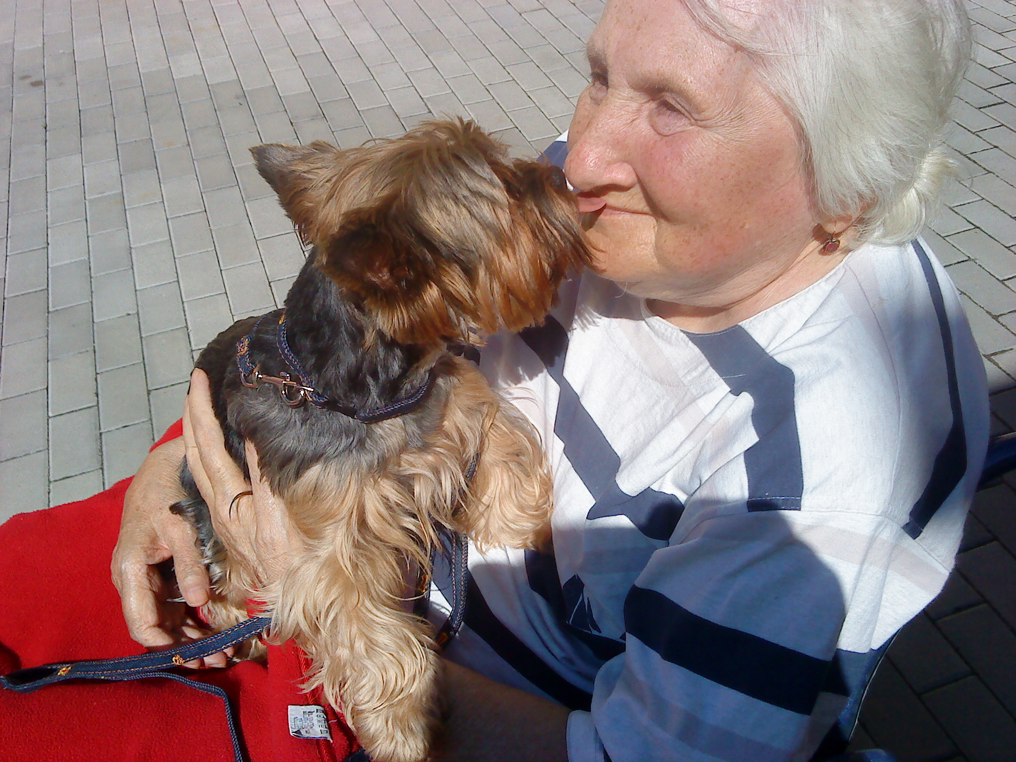 klikni pro velký obrázek