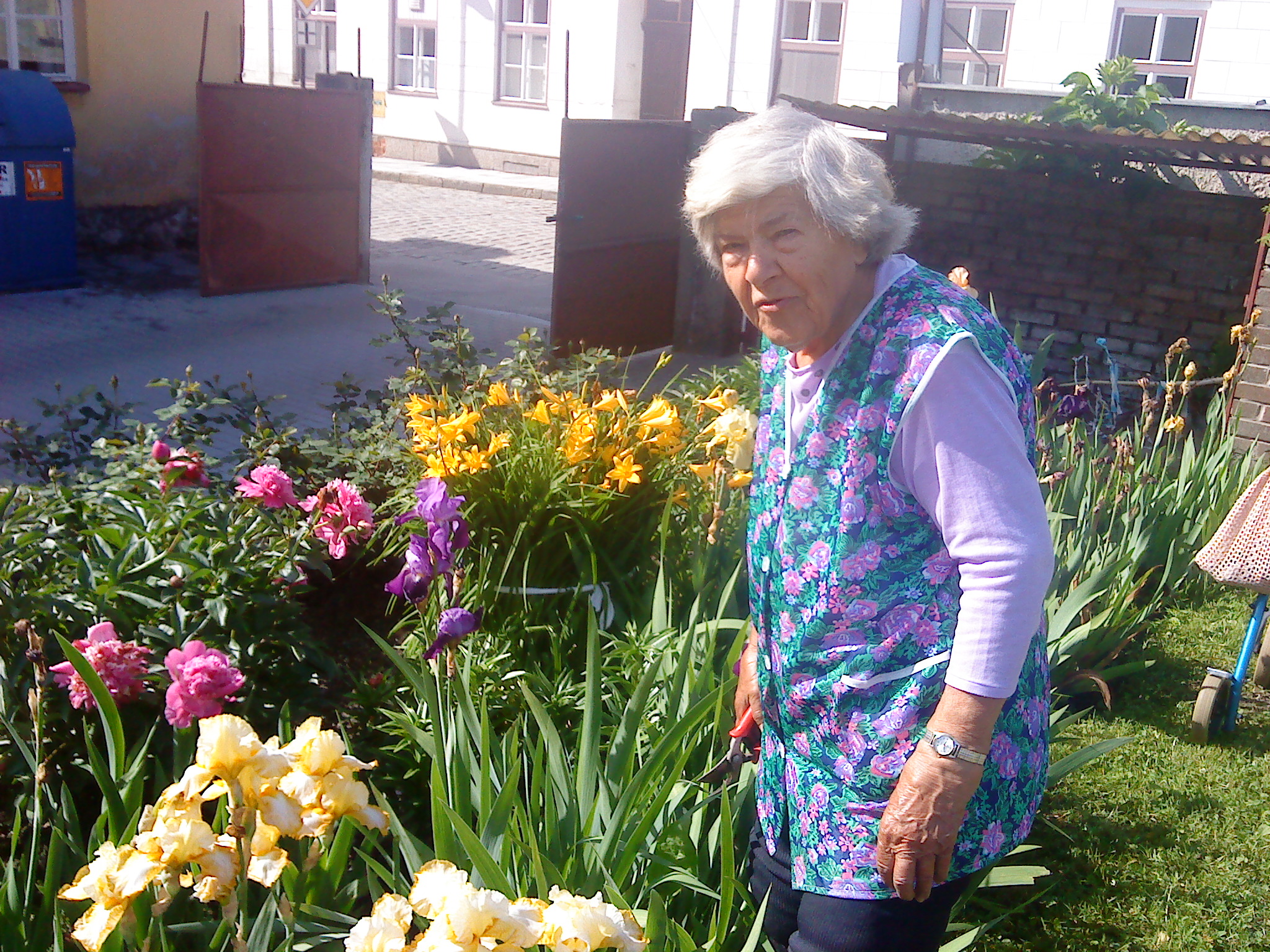 klikni pro velký obrázek