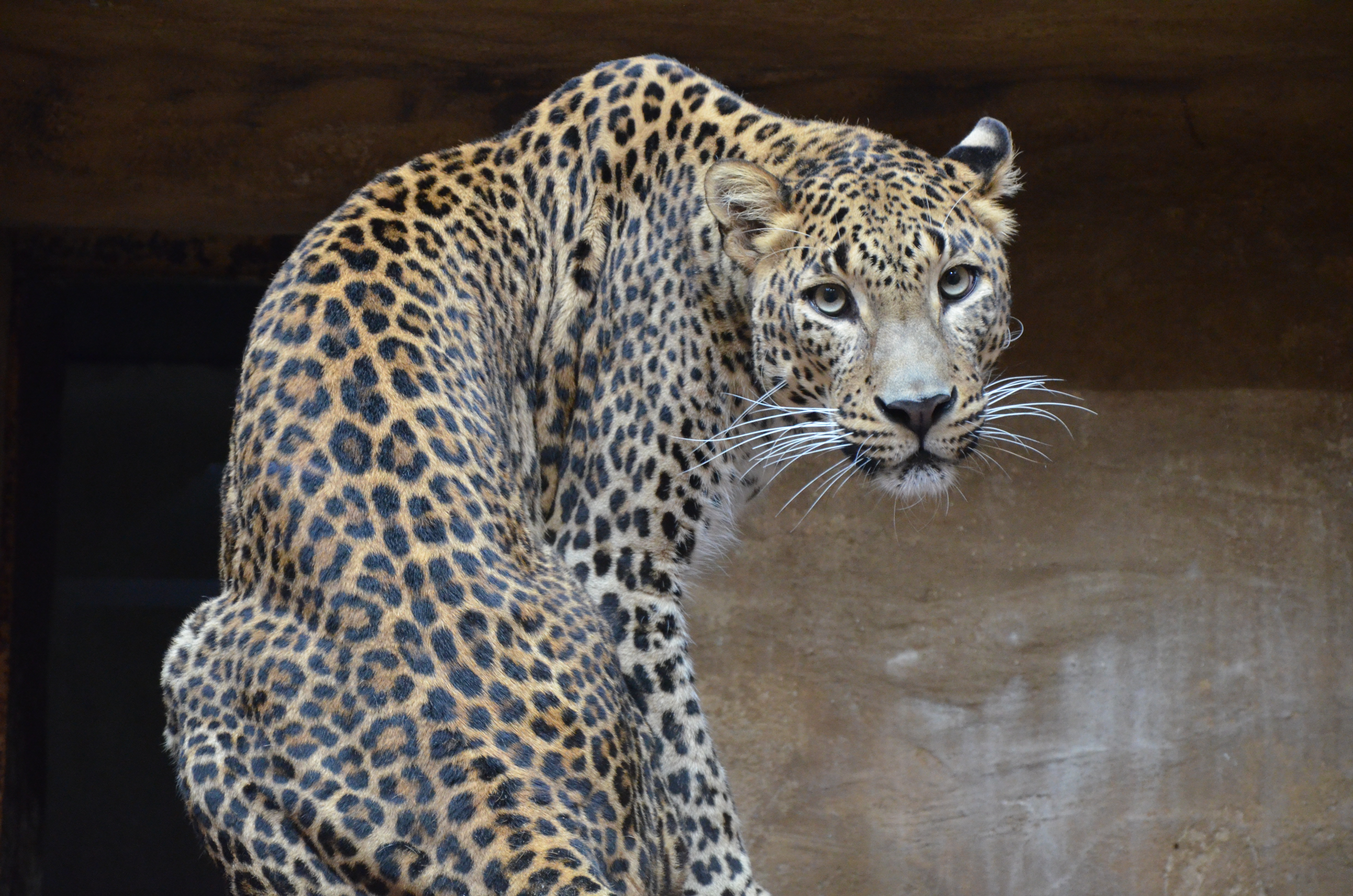 klikni pro velký obrázek