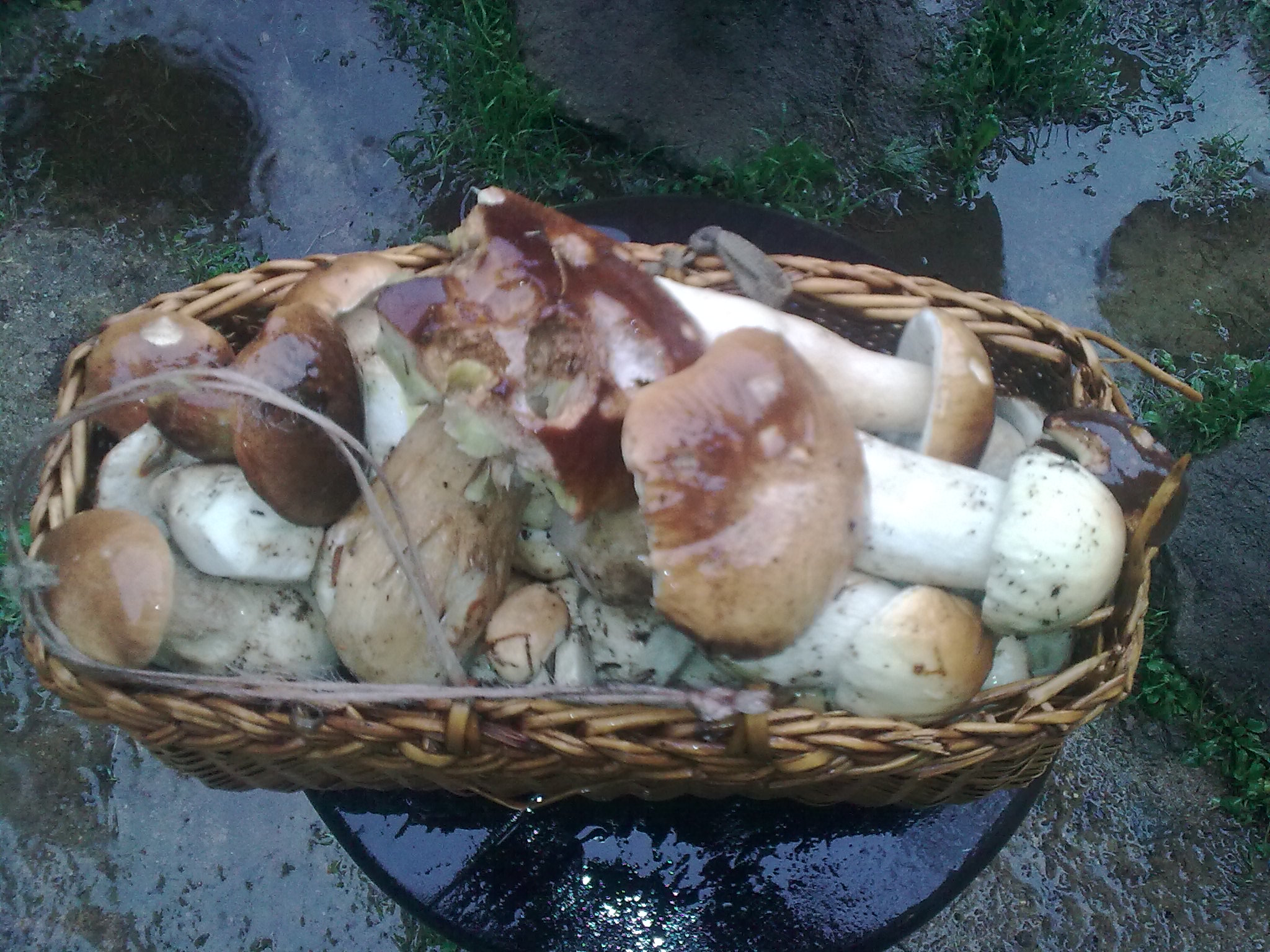 klikni pro velký obrázek