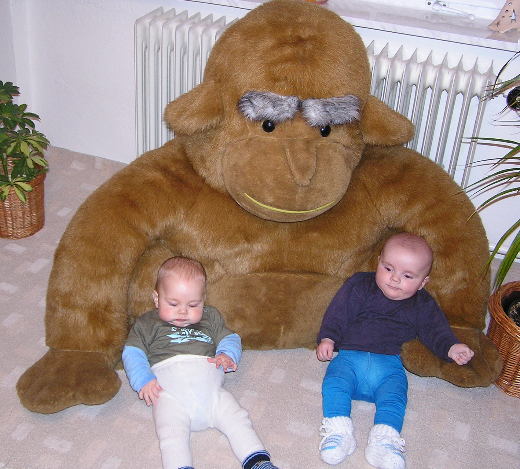 klikni pro velký obrázek