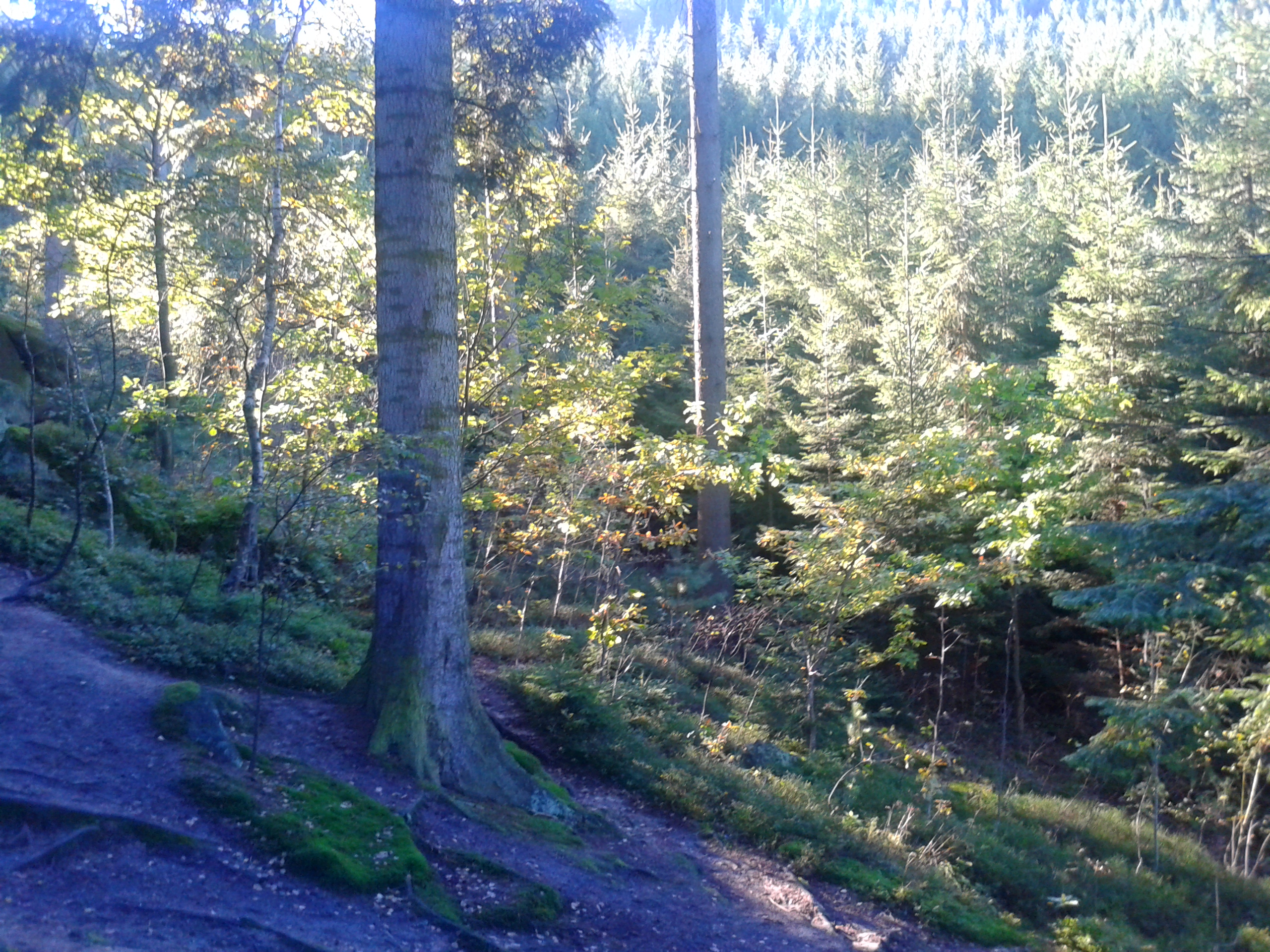 klikni pro velký obrázek