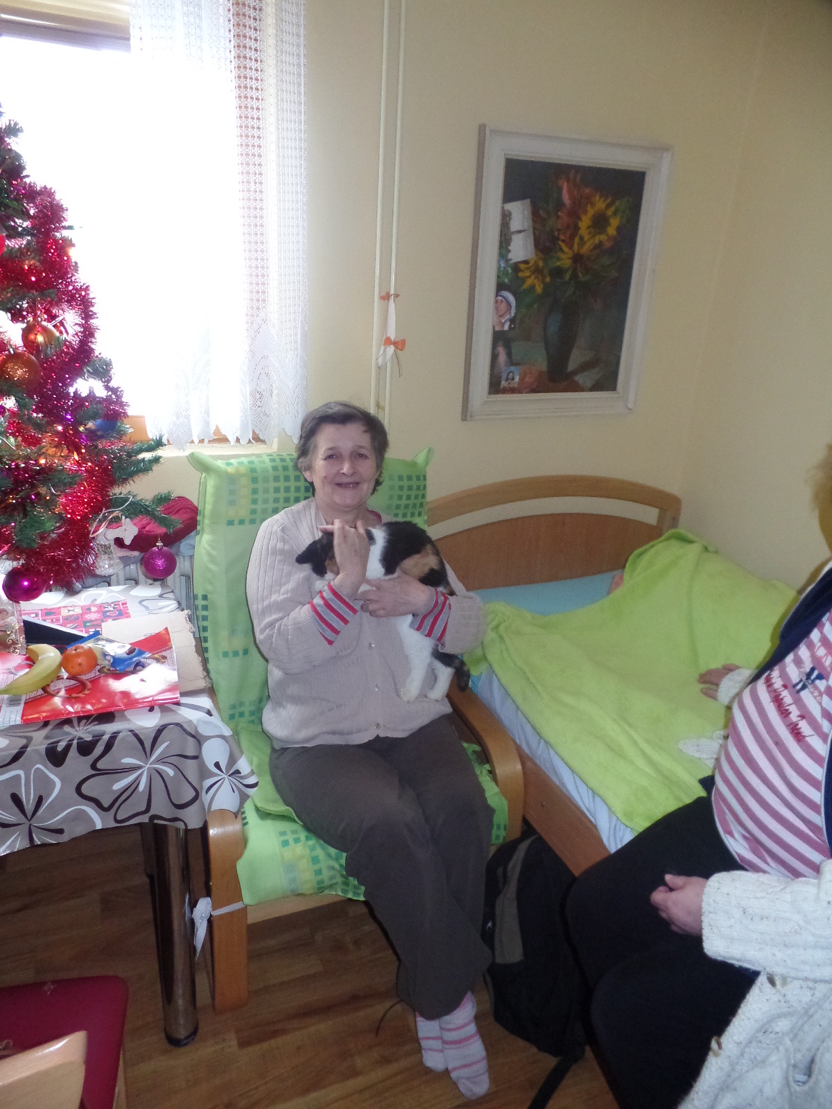 klikni pro velký obrázek