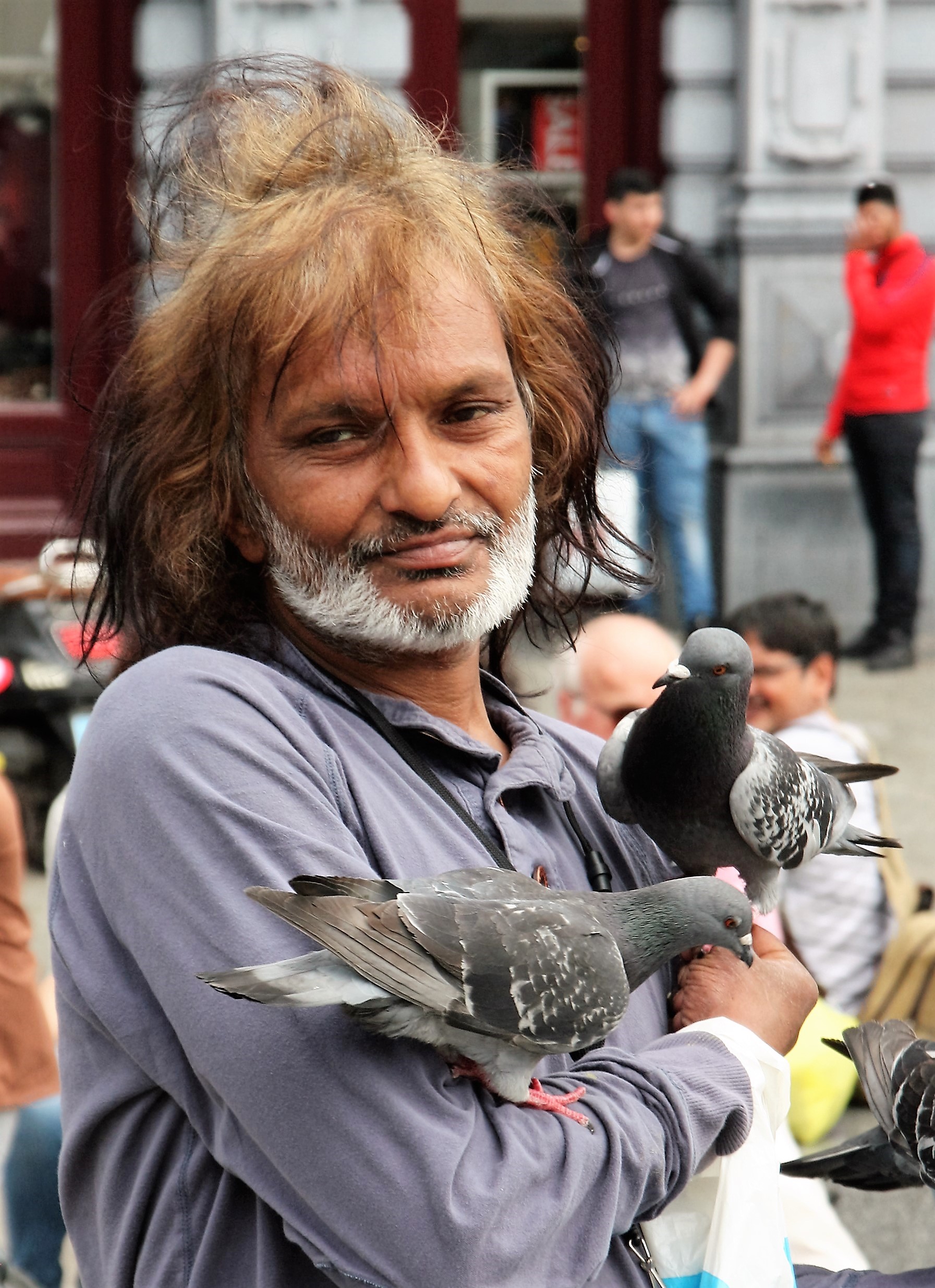 klikni pro velký obrázek