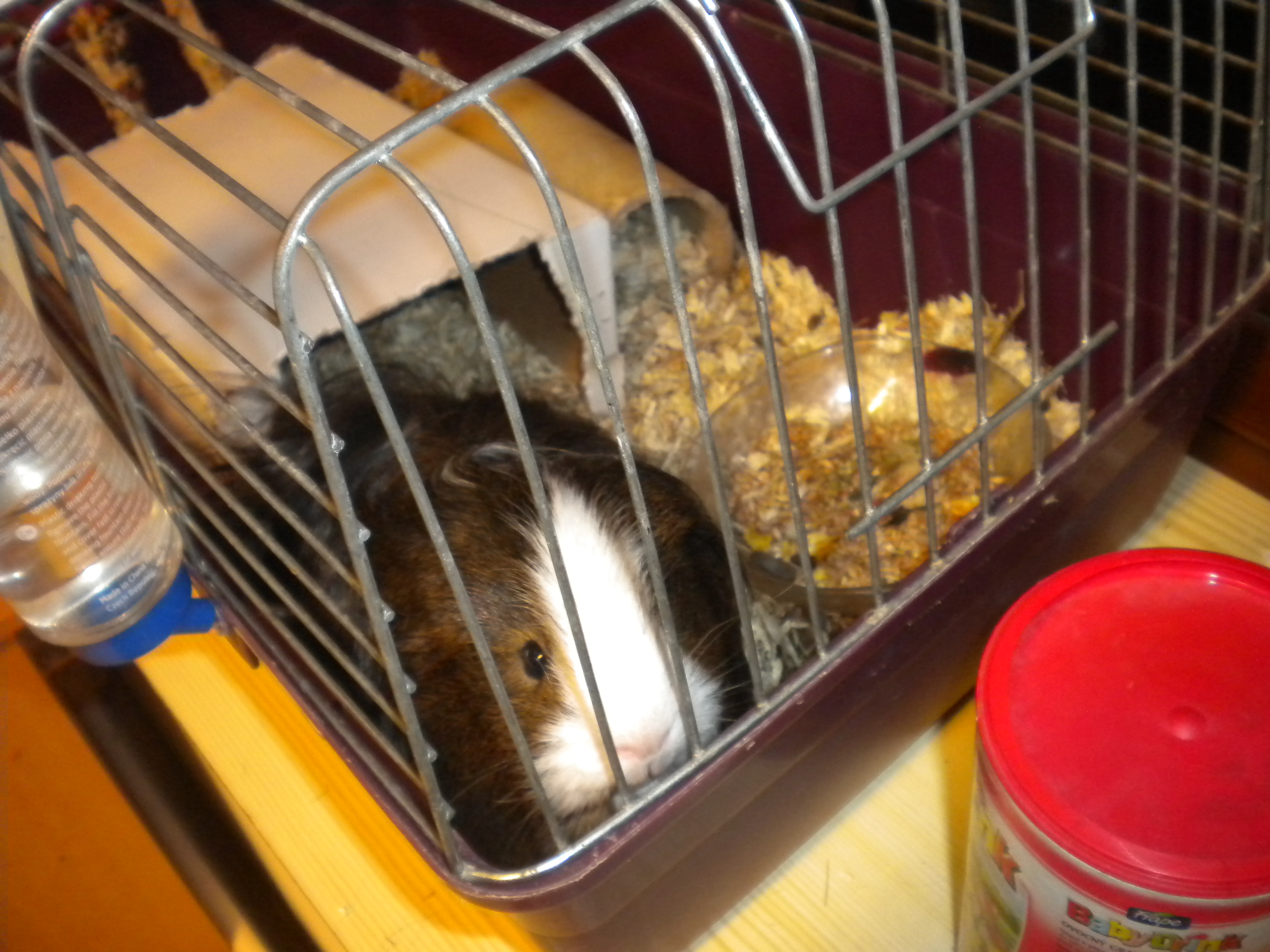 klikni pro velký obrázek