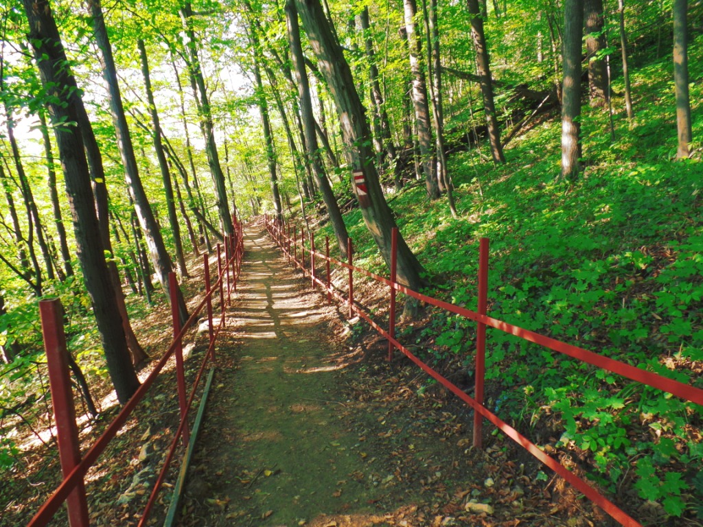 klikni pro velký obrázek