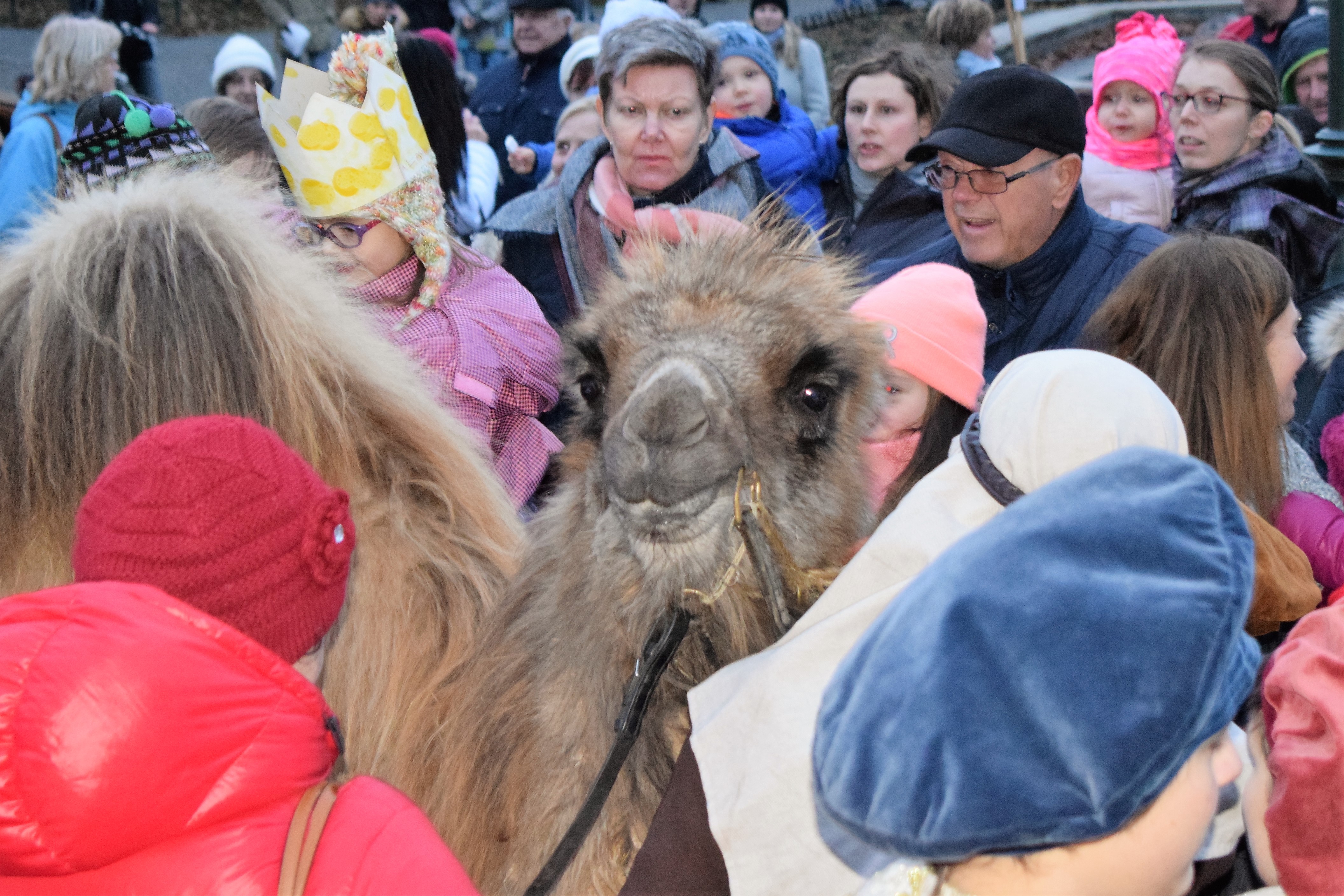 klikni pro velký obrázek